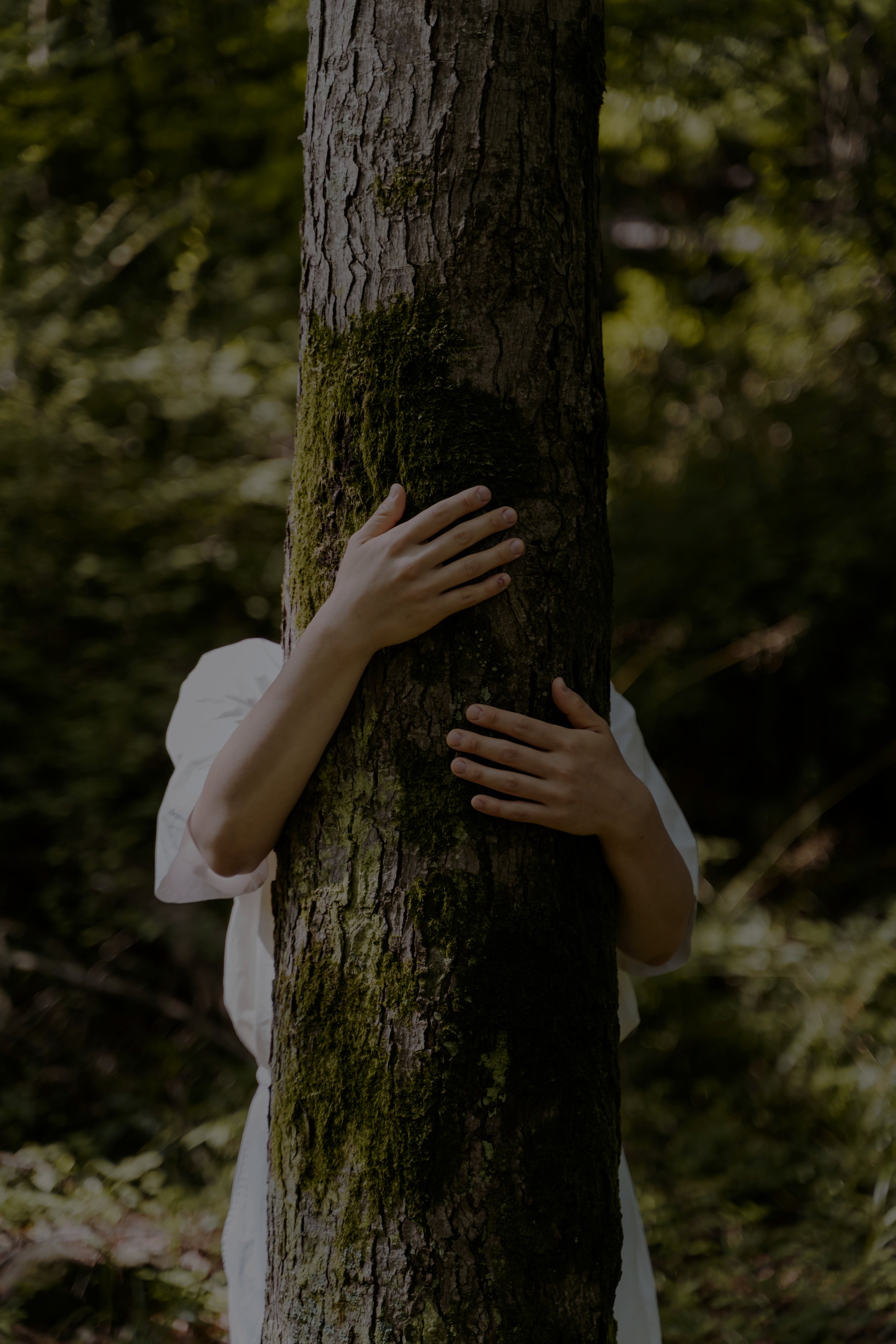 Person Hugging a Tree Trunk