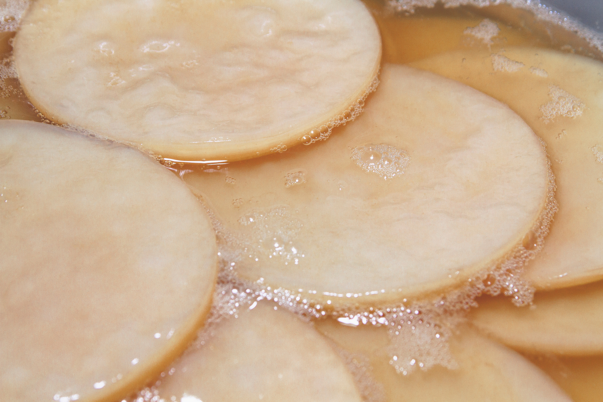 Close-up fresh scoby kombucha image